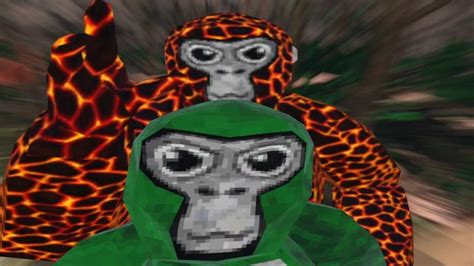 an image of a monkey in a green hoodie next to a giraffe