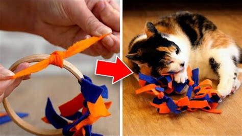 Homemade Chew Toys For Kittens | Wow Blog