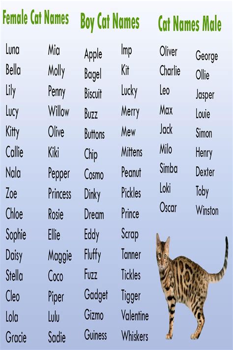 Female Cat Names In Movies