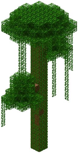 Jungle tree – Minecraft Wiki