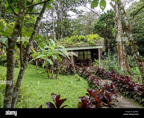 Selva negra resort hi-res stock photography and images - Alamy