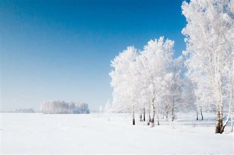 Altai Krai (2) - Things That will make you Visit Siberia in Winter - A ...