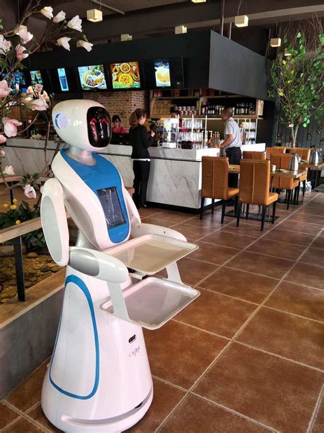 Smart Food Delivery Intelligent Robot Waiter Service Robot for ...