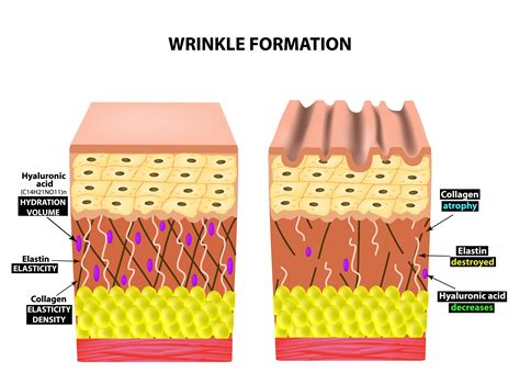 3 steps to restore collagen and a youthful bounce to your skin