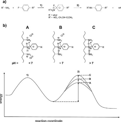 Scheme 5. a) General reaction scheme for a NAS reaction of a fl ...