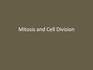 PPT – Mitosis and Cell Division PowerPoint presentation | free to ...