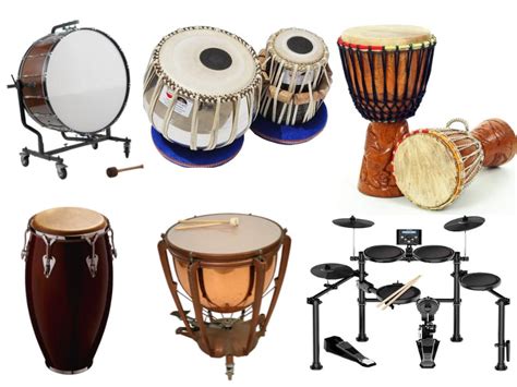 Mittlere Kann standhalten vergeben drums and percussion rotierend ...