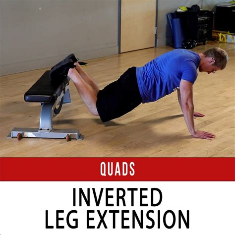 Knee Extension - N1 Training