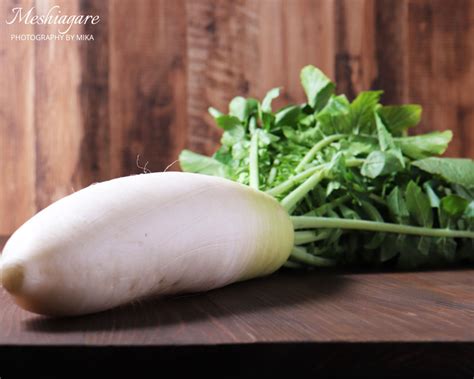 Daikon radish - COOK & MESHIAGARE