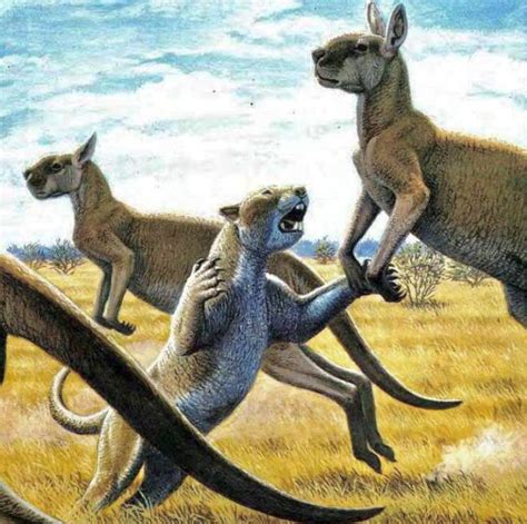 A marsupial lion attacking a giant short-faced kangaroo. Thylacoleo ...