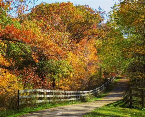 Hiking Trails - Hike Lake County Ohio Lake Metroparks | Lake Metroparks