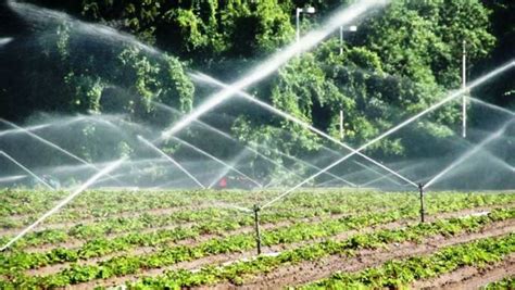 Sprinkler Irrigation system – Holly Green Agric Group LTD