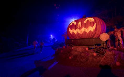 Busch Gardens Halloween Harvest 2020: Treats by Day and Trickery by Night