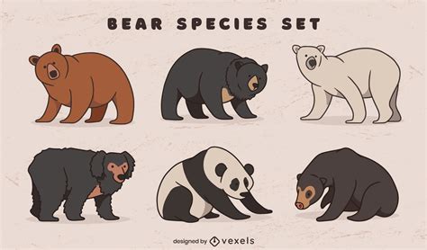 Bear Vector & Graphics to Download