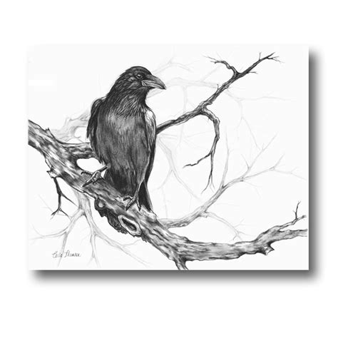 Charcoal Drawing Raven on Tree Branch, Black White Original Pencil ...