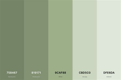 35+ Best Green Color Palettes with Names and Hex Codes | Green colour ...