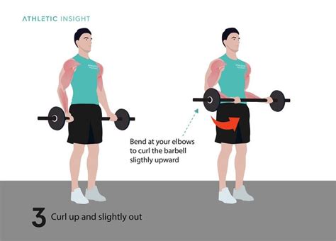 How to Do Barbell Curl: Variations, Proper Form, Techniques, Barbell ...