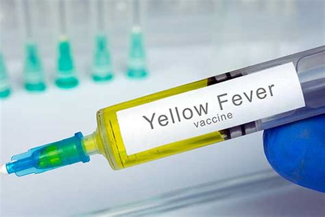 Let's Talk Yellow Fever: Vaccine, Symptoms, Causes & More - Insurdinary