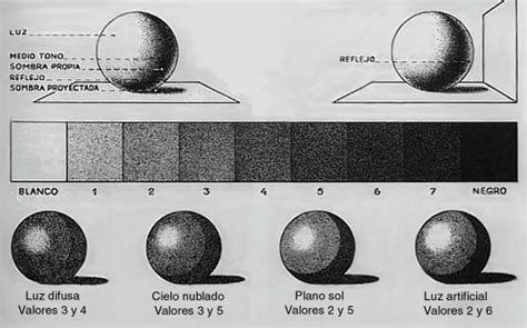 Dibujo luz y sombra - Imagui