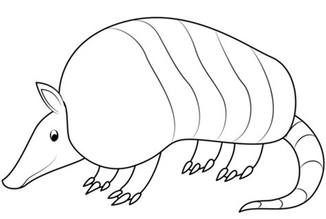 Armadillo coloring page | Free Printable Coloring Pages