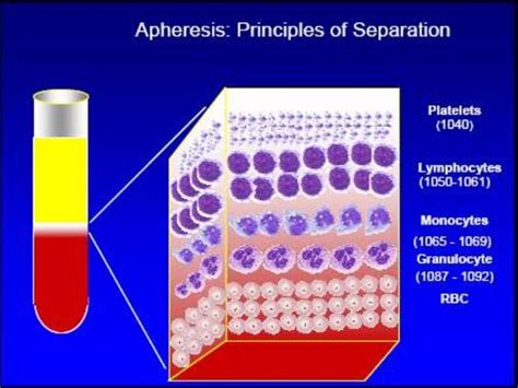 Apheresis