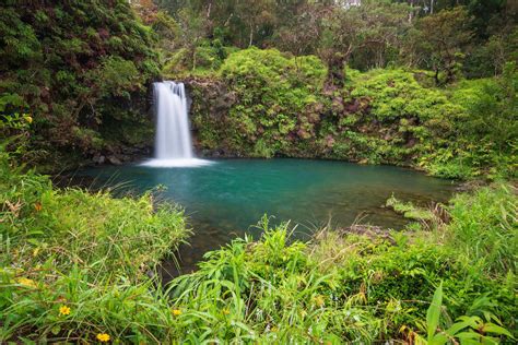 Top 12 Best Waterfalls on Maui You Should Visit | Hawaii Travel with Kids