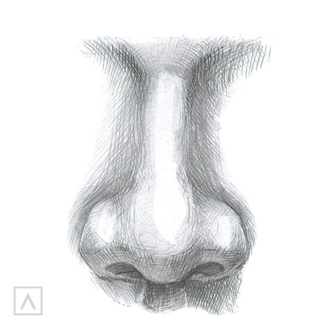 How to Draw a Nose in Just 5 Steps | Nose drawing, Cool pencil drawings ...