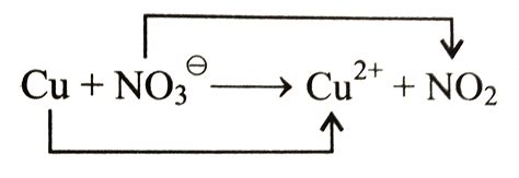 [Punjabi] Copper reacts with dilute nitric acid and liberates