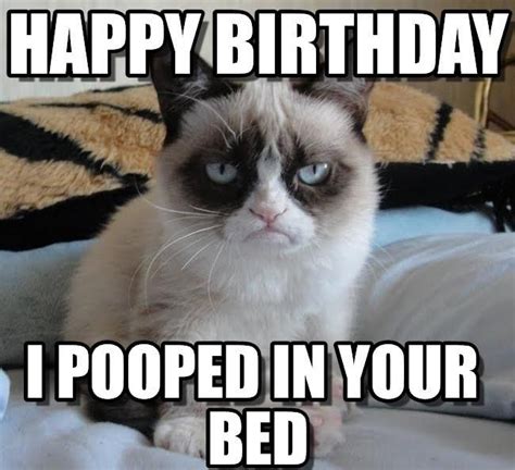 Cat Birthday Memes, Grumpy Cat Birthday, Funny Happy Birthday Meme ...