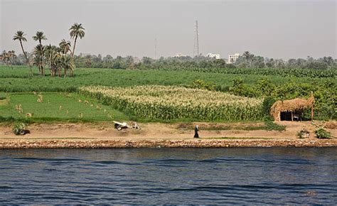 Nile River Agriculture Stock Photos, Pictures & Royalty-Free Images ...