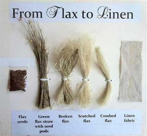 Video: Spinning Flax Fibers into Linens