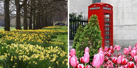 Visiting London in March (All you need to know)