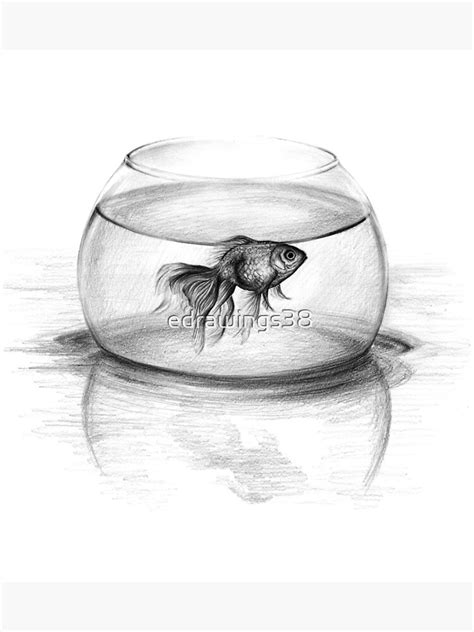 "Just one wish Goldfish in a bowl pencil drawing" Poster by edrawings38 ...