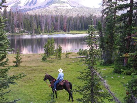 Dream Packer Trail Adventures: Mirror Lake Utah Horse Camping