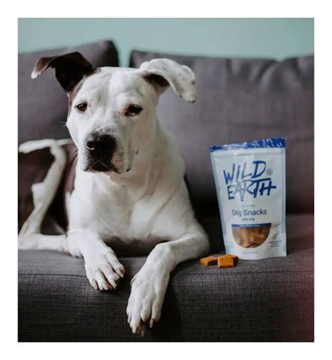 WildEarth Dog Treats - Shark Tank Blog