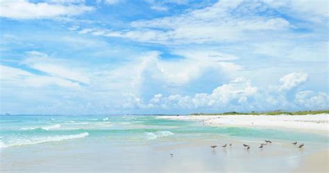 25 Best Beaches on the Florida Gulf Coast