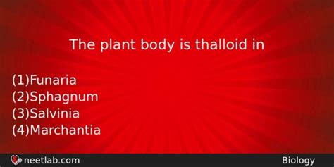 The plant body is thalloid in - NEETLab