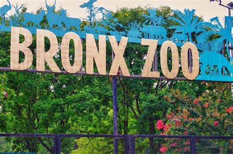 Bronx Zoo Parking: All You Need to Know to Find the Best Spots