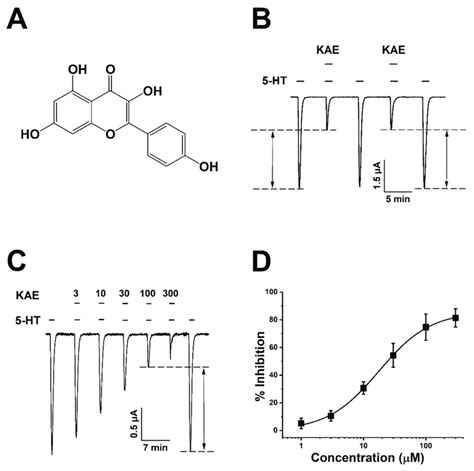 Chemical structure of Kaempferol (KAE) and activation manner confirmed ...