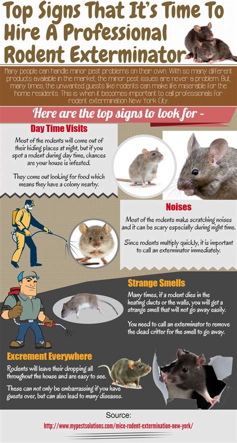 Mice exterminators are skilled professionals that help people to get ...