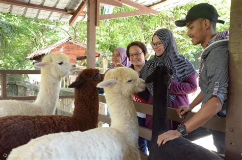 Farm In The City Discount Ticket in Malaysia - Klook Malaysia