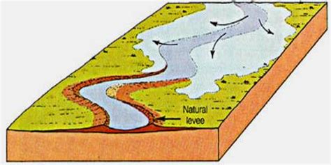 Natural Levees: Depositional Landforms - QS Study