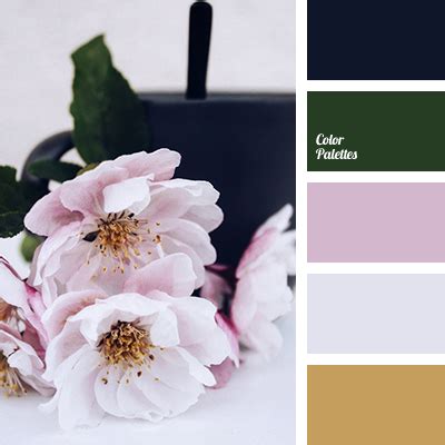 Color Palette #4245 | Color Palette Ideas