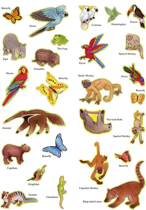 Printable Rainforest Animals - Printable Word Searches