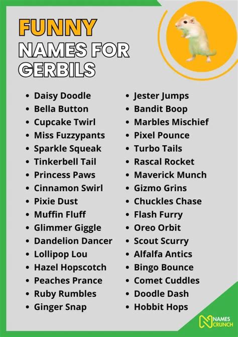 200+ Funny Names for Gerbils - Names Crunch