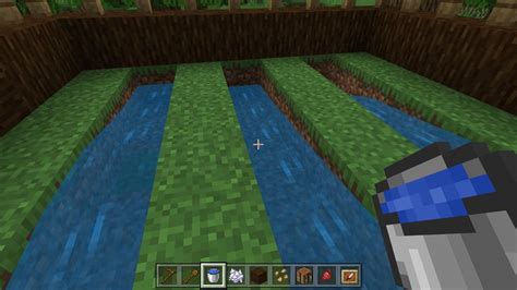 How to Plant Seeds in Minecraft