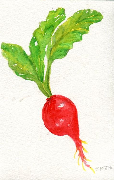 Radish watercolor painting food wall art 4 x 6 small | Etsy