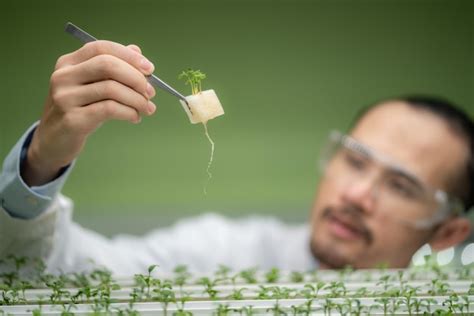 Premium Photo | Professional agriculture scientist working to research ...