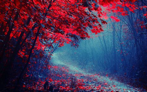 Red Autumn Wallpapers - Top Free Red Autumn Backgrounds - WallpaperAccess