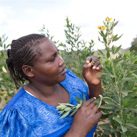 From the ‘poorest of the poor’ to a successful businesswoman | by Farm ...